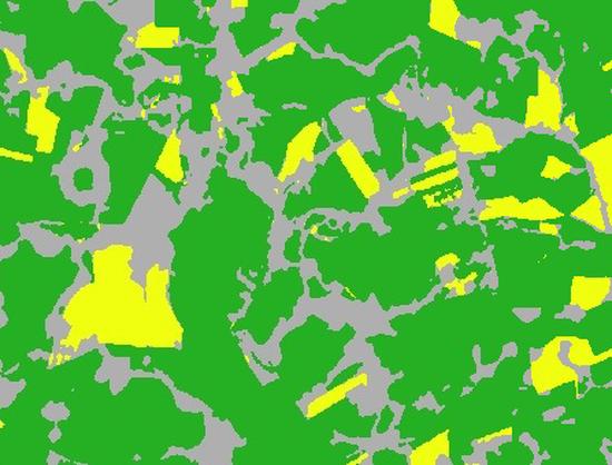 Crop modeling and remote sensing